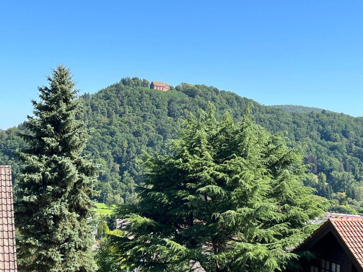 Weitblick 1 Apartment Amorbach Bagian luar foto